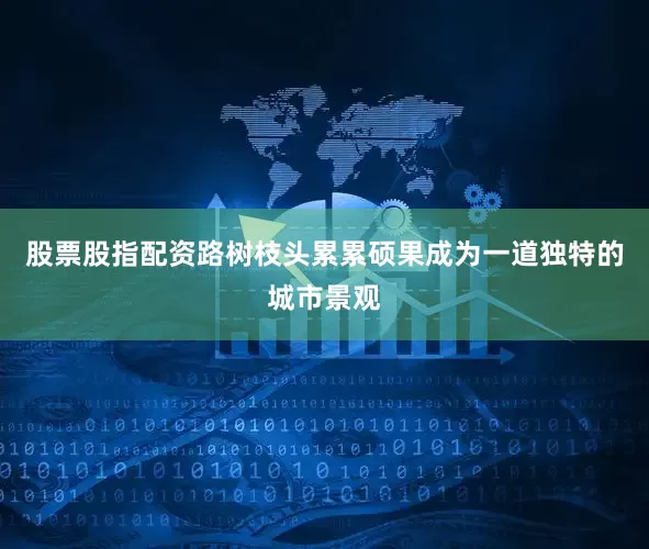 股票股指配资路树枝头累累硕果成为一道独特的城市景观