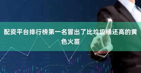 配资平台排行榜第一名冒出了比垃圾桶还高的黄色火苗