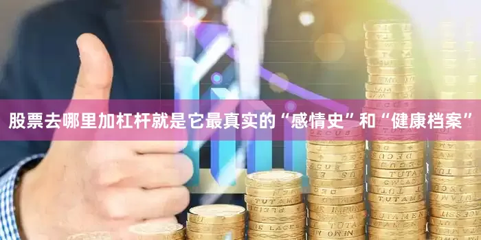 股票去哪里加杠杆就是它最真实的“感情史”和“健康档案”